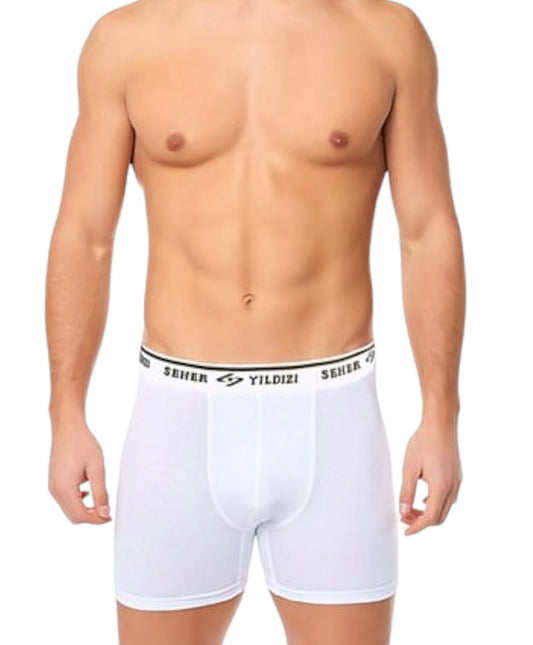 Boxershorts Herren Boxershorts 5er Pack Retroshorts Basic Slips Unterwäsche