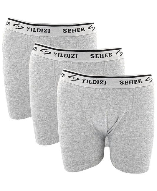 Boxershorts Herren Boxershorts 5er Pack Retroshorts Basic Slips Unterwäsche